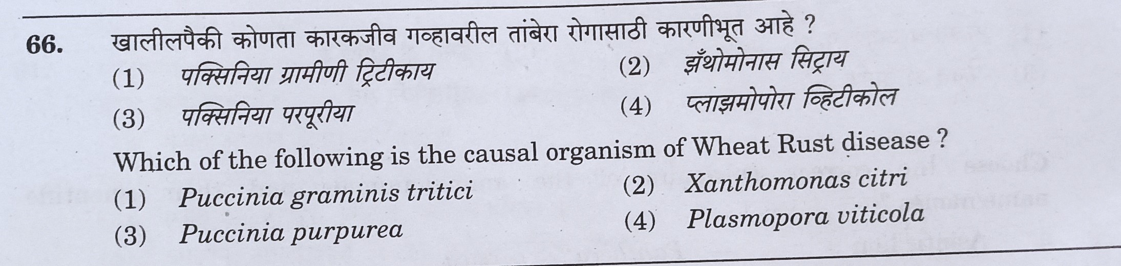 MPSC Answer Key 2022, MPSC Group B Combine Exam Answer Key Questions and Answer_68.1