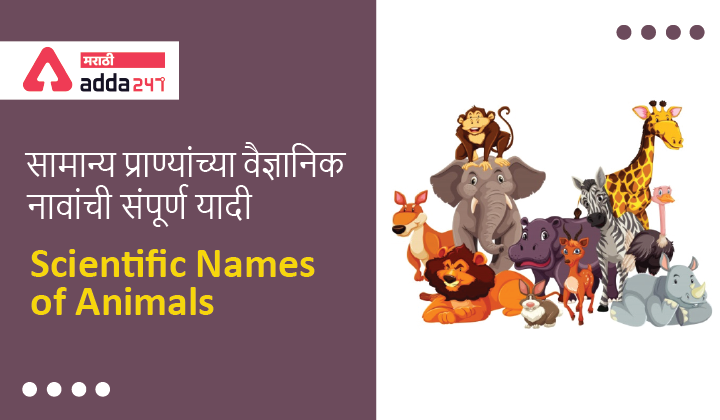Scientific Names of Animals, Complete List of Scientific Names of Common Animals | सामान्य प्राण्यांच्या वैज्ञानिक नावांची संपूर्ण यादी
